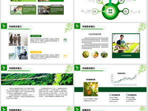 2018互聯網+農副產品市場推廣企業營銷策劃案模板與設計素材指南